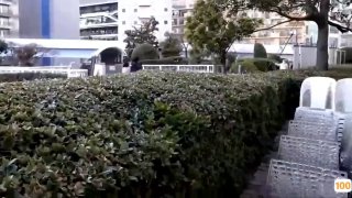 日韩精品.成人色.春暖花开炎狼_亚洲性夜色九九九久久久,国产福利一区二区三区在线视频